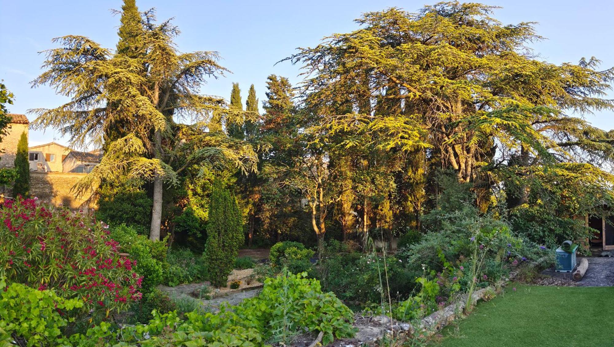 Rue Du Chateau A Cabrieres D'Avignon Bed & Breakfast Bagian luar foto