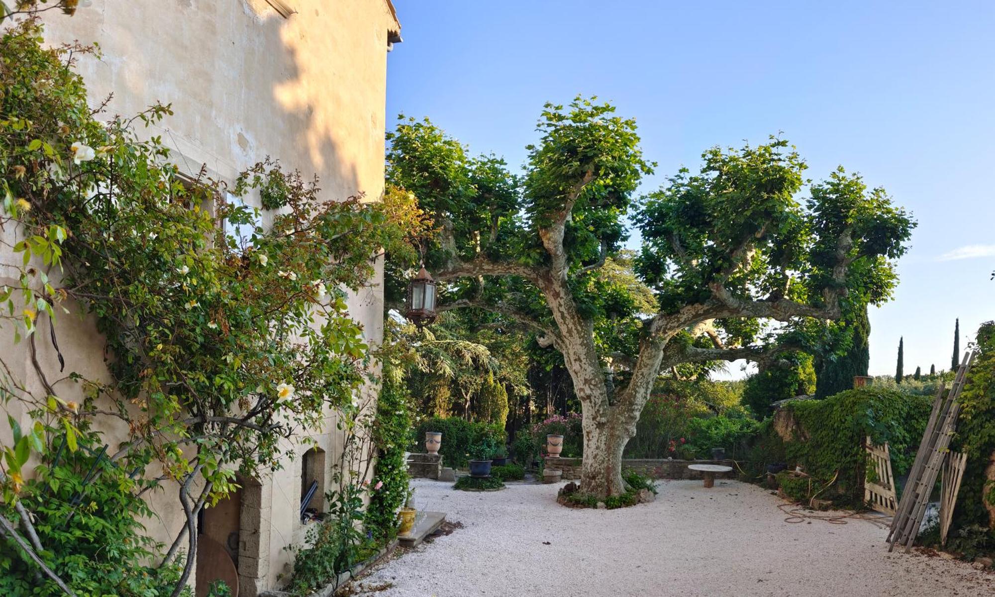 Rue Du Chateau A Cabrieres D'Avignon Bed & Breakfast Bagian luar foto